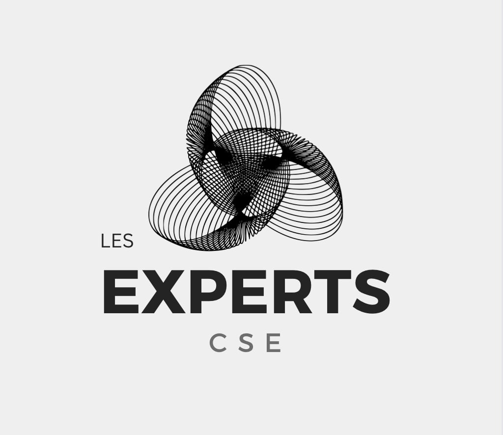 logo les experts CSE